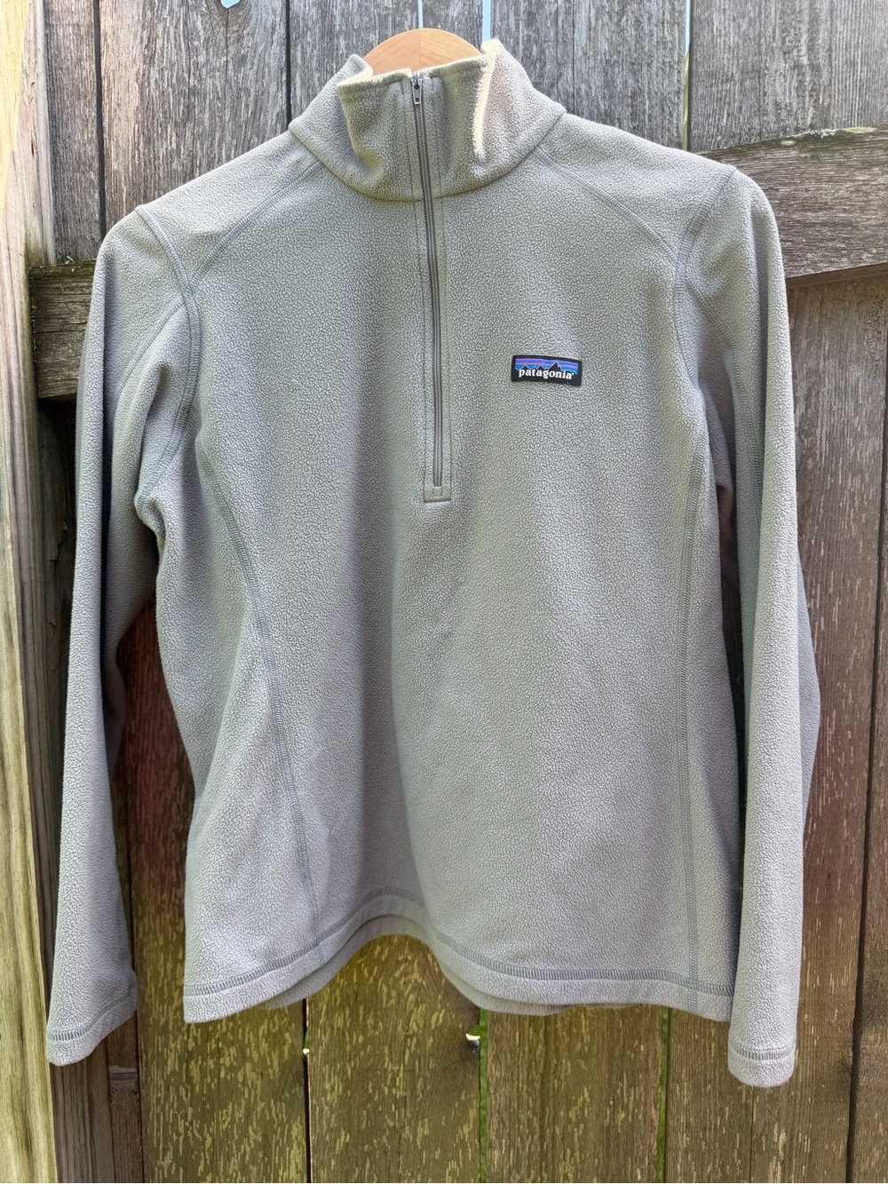 Patagonia Light Gray Fleece Jacket with Mountain Logo
